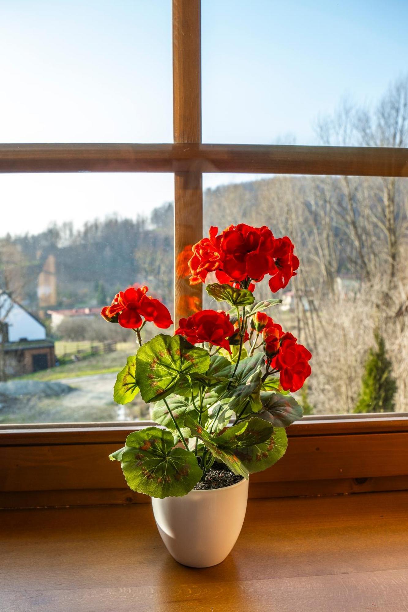 Вилла Jaworowa Osada Бренна Экстерьер фото